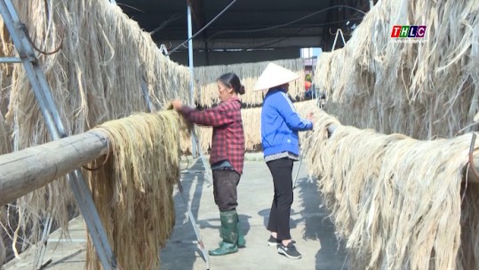 Phú Thọ: Biến vỏ chuối thành sợi tơ xuất khẩu