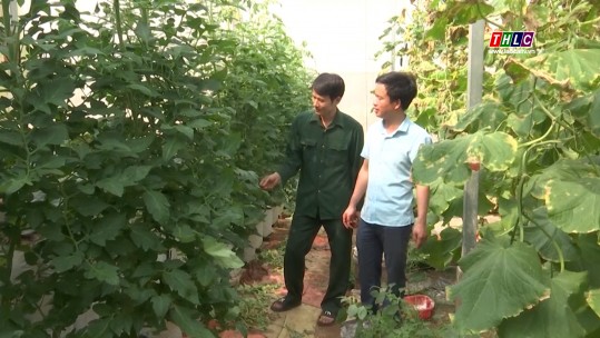Phát triển nông nghiệp công nghệ cao gắn với xây dựng nông thôn mới nâng cao