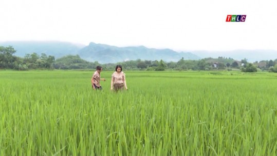 Nông nghiệp - Nông thôn: Nông nghiệp - Phát triển nông thôn (21/3/2023)