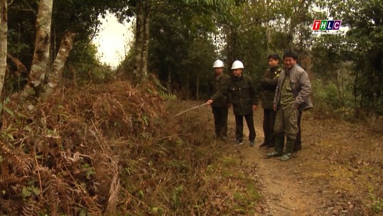 Tập trung ứng phó phòng, chống cháy rừng trên địa bàn tỉnh Lào Cai