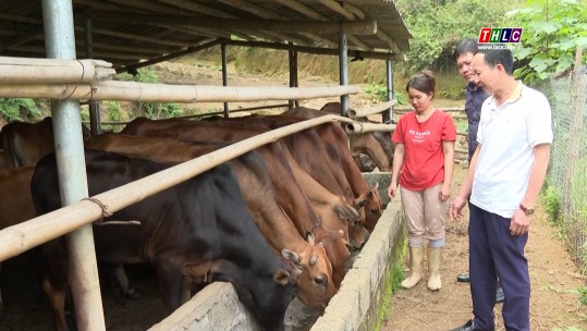 Hỗ trợ nông dân Quang Kim phát triển nông nghiệp hàng hóa