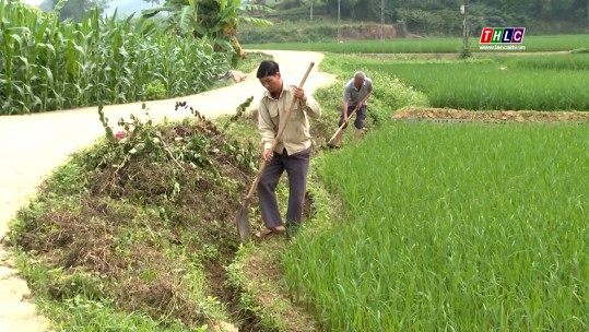 Nông dân căng mình chống hạn, cứu lúa