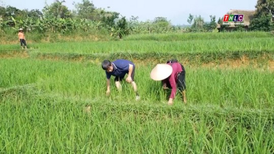 Sử dụng nước hợp lý, hiệu quả mùa khô hạn