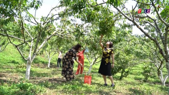 Bắc Hà - Du lịch trải nghiệm thu hút du khách