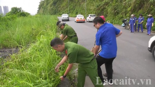 Lào Cai tổ chức nhiều hoạt động hưởng ứng Ngày Quốc tế đa dạng sinh học và Ngày Môi trường thế giới