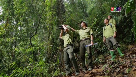 Phim tài liệu: Lào Cai quản lý, bảo vệ, phát triển rừng bền vững