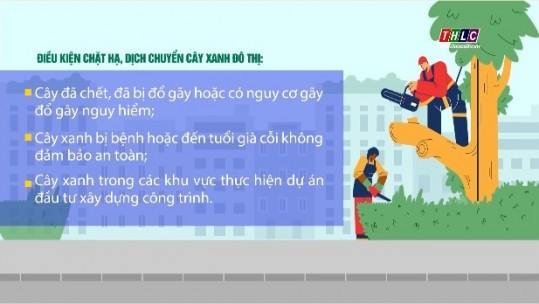 Điều kiện chặt hạ cây xanh đô thị