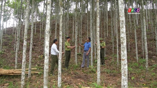 Phát triển bền vững: Bảo vệ và phát triển rừng (18/5/2023)