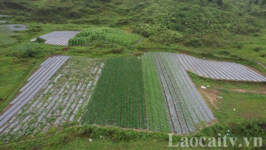 Khoa học công nghệ - động lực để phát triển bền vững