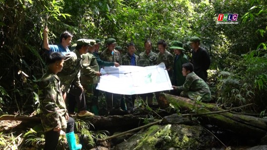 Tăng cường công tác phòng cháy, chữa cháy rừng đợt cao điểm nắng nóng