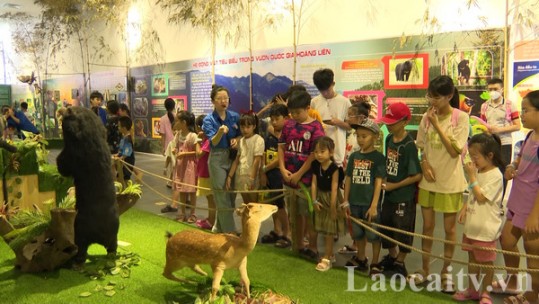 Vui Tết thiếu nhi cùng Bảo tàng tỉnh Lào Cai