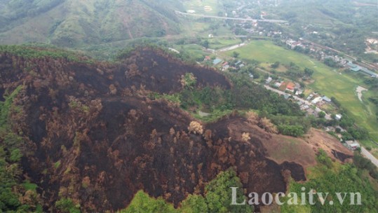 Cháy rừng: Hậu quả từ sự bất cẩn của người dân