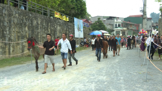 Vòng chung kết 