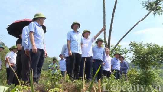 Chủ tịch UBND tỉnh chỉ đạo khắc phục hạn hán tại huyện Si Ma Cai