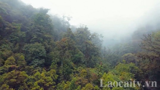 Khu Bảo tồn thiên nhiên Bát Xát vì mục tiêu trở thành vườn quốc gia