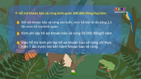 Hỗ trợ 40 triệu đồng/năm cho cộng đồng dân cư vùng đệm rừng đặc dụng