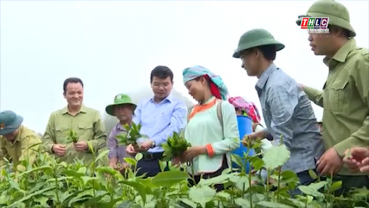 Tỉnh Lào Cai bảo vệ cán bộ “6 dám”