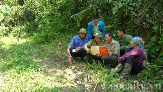 Việc giải ngân vốn hỗ trợ người dân quản lý, bảo vệ rừng ở Văn Bàn gặp khó