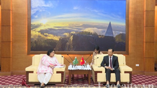 Đoàn Đại sứ Pakistan tại Việt Nam thăm và làm việc tại tỉnh Lào Cai