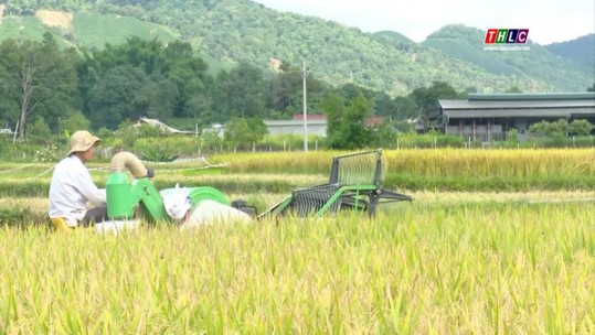 Sơn La: Hiệu quả từ cơ giới hóa trong sản xuất nông nghiệp