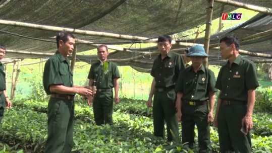 Những tấm gương thương binh mẫu mực ở Văn Bàn