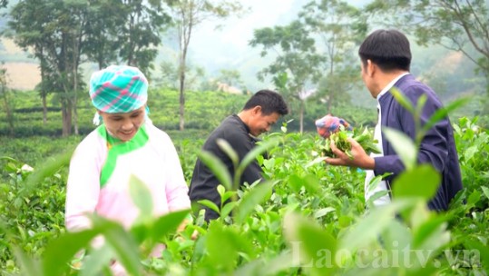 Mường Khương ghi danh điển hình tiên tiến