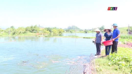 Phú Thọ xây dựng chi tổ hội nông dân nghề nghiệp góp phần phát triển kinh tế tập thể