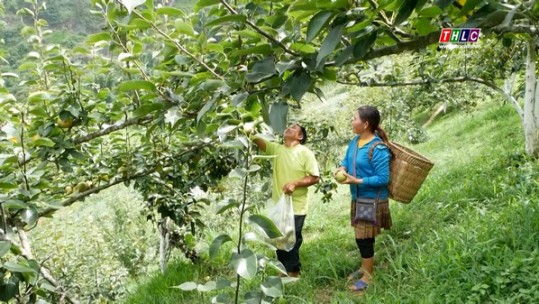 Làm giàu cho bản