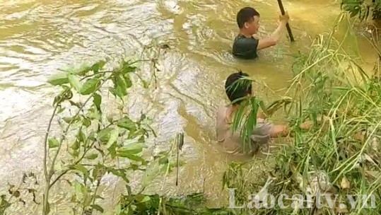 Thị trấn Nông trường Phong Hải: Một cháu bé mất tích sau khi ngã xuống suối