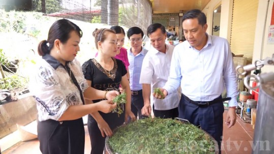 Phó Bí thư Tỉnh ủy Hoàng Giang thăm mô hình dân vận khéo tại huyện Bảo Thắng