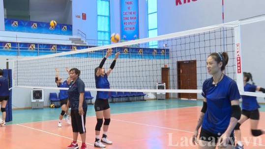 Khích lệ tinh thần đội tuyển bóng chuyền nữ Việt Nam