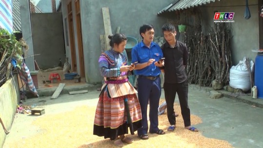 Gần 94% hộ gia đình Lào Cai có điện thoại di động thông minh