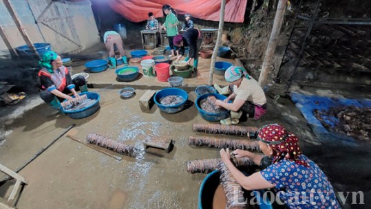 Si Ma Cai: Một số xưởng sơ chế giun đất xả thải gây ô nhiễm môi trường