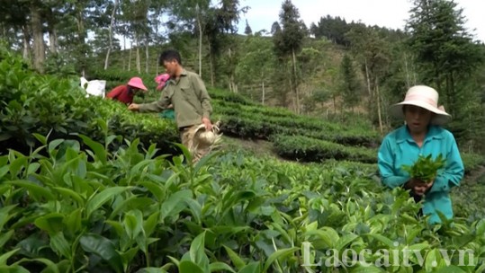 Khó khăn trong công tác triển khai hỗ trợ dân tộc đặc biệt ít người