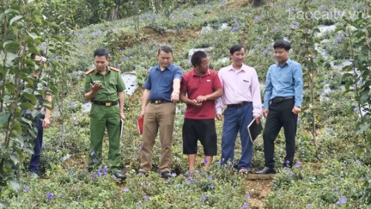 Đại biểu HĐND góp phần đưa chính sách vào cuộc sống