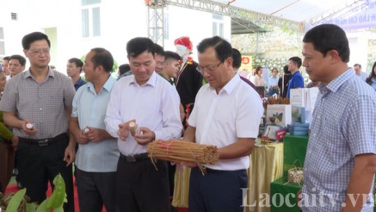 Hội thảo xúc tiến đầu tư, thương mại ngành hàng quế tỉnh Lào Cai năm 2023