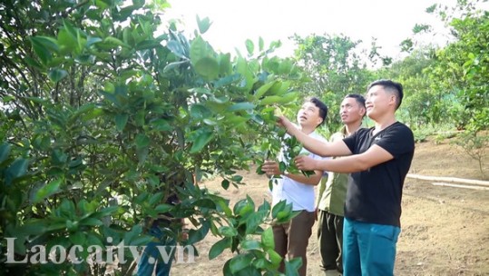 Bừng sáng trên vùng quê cách mạng