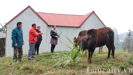 Si Ma Cai sử dụng hiệu quả nguồn quỹ vì người nghèo