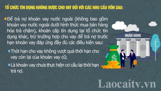 Những trường hợp tổ chức tín dụng không được cho vay