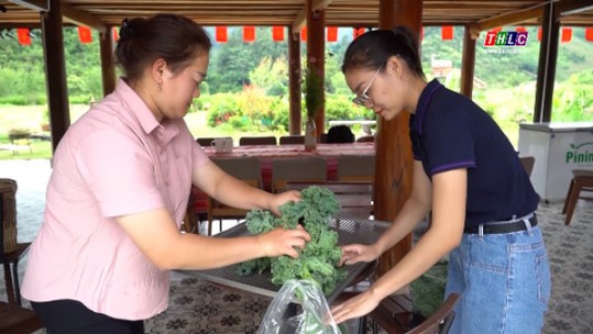 Đồng hành cùng thanh niên khởi nghiệp sáng tạo