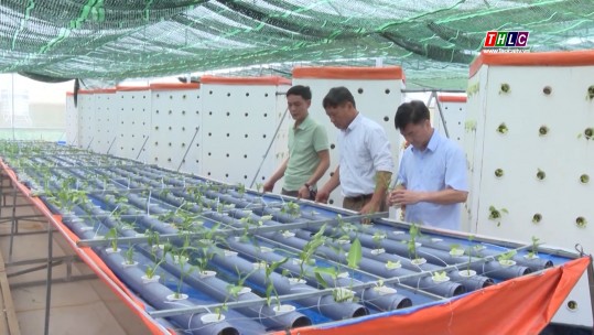 Tuyên Quang đẩy mạnh áp dụng khoa học kỹ thuật vào sản xuất nông nghiệp
