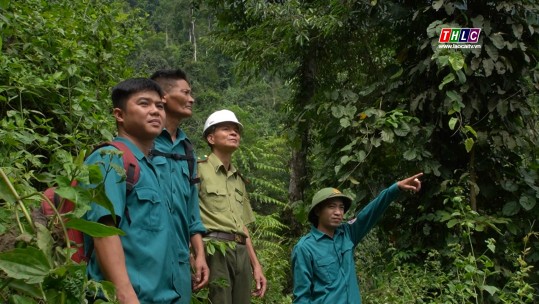 Phát triển bền vững: Chuyên đề Bảo vệ và phát triển rừng (21/9/2023)