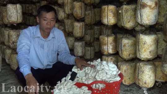 Đồng bào dân tộc thiểu số huyện Văn Bàn tích cực xây dựng sản phẩm OCOP