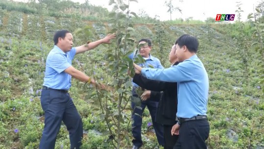 Bắc Hà: Quyết tâm thoát khỏi huyện nghèo