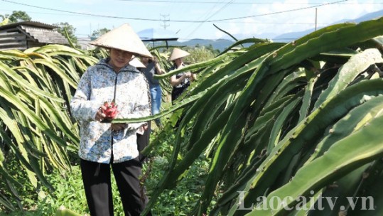 Đồng hành cùng phụ nữ phát triển kinh tế