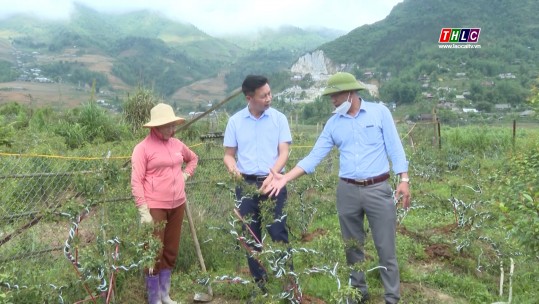 Lào Cai chú trọng xây dựng đội ngũ cán bộ