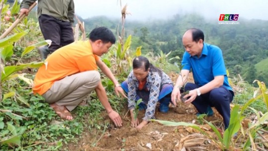 Kiểm tra, hướng dẫn, đôn đốc thực hiện nhiệm vụ xây dựng nông thôn mới và giảm nghèo bền vững