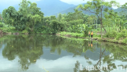 Liêm Phú vượt khó hoàn thành tiêu chí thu nhập