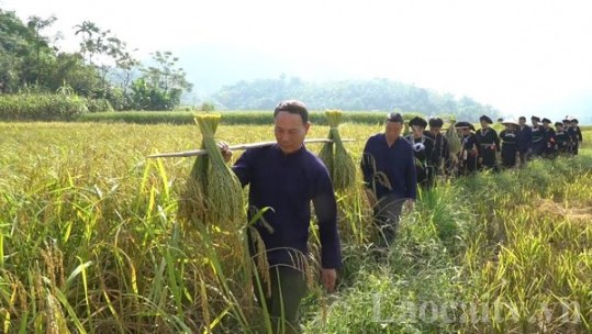 Sắc màu văn hóa người Tày trong ngày hội cốm