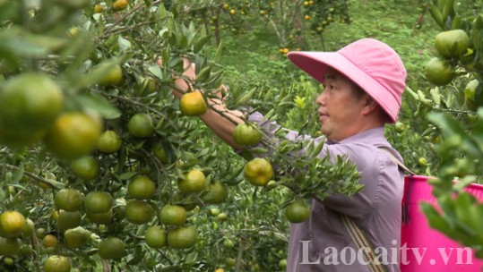 Khơi dậy sự chủ động thoát nghèo của người dân